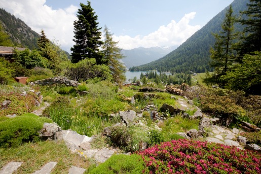 Photo officielle_Flore-Alpe et le lac de Champex_Héloïse MaretS